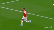 Premier League Soccer GIF by PeacockTV