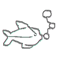 Animated Sticker
