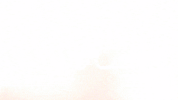 Stefan Lainer Celebration GIF by FC Red Bull Salzburg