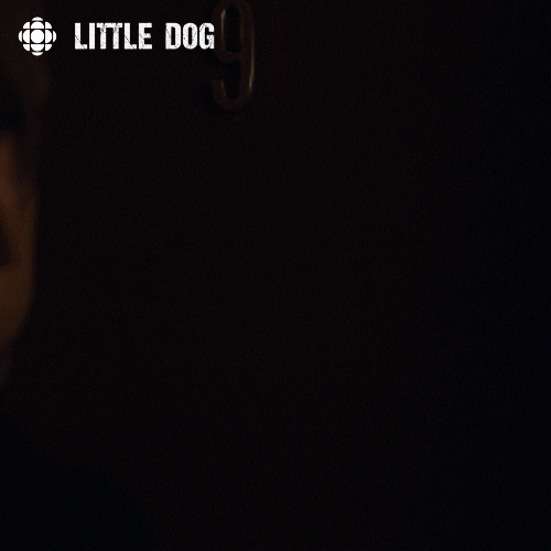 surprised little dog GIF by CBC