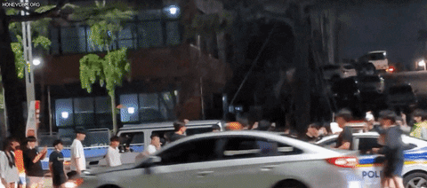 seotor_7 giphyupload GIF