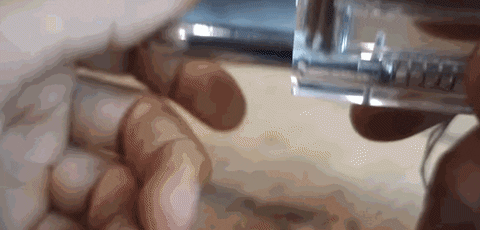 rafinhamorawski giphyupload hacker clips abrir GIF