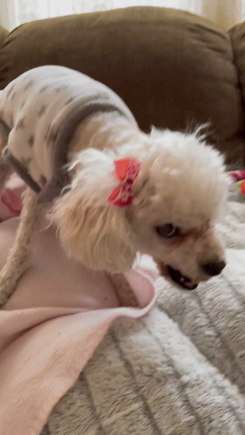 Image from iOS (1).MOV