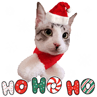 Santa Claus Christmas Sticker