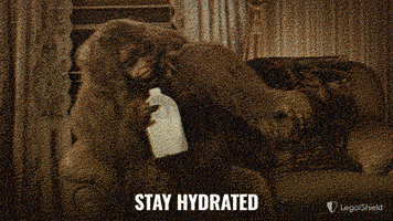 LegalShield party alcohol tequila vodka GIF