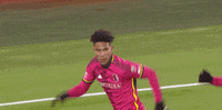 St Louis Win GIF by Major League Soccer