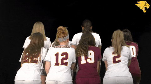 D3Soc Cuc19 GIF by CUCougars