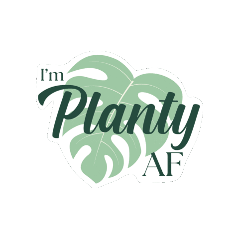 implantyaf giphygifmaker plants monstera plantlover Sticker
