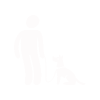 Adopt Humane Society Sticker by Humane Society of Broward County