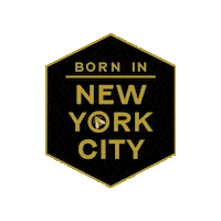 Logo Nyc Sticker by Siponey