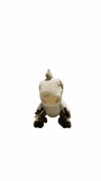 Talon GIF