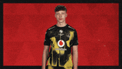 Borussia Dortmund Hello GIF by Bundesliga