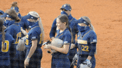 Softball Utc GIF by Chattanooga Mocs