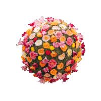 Constance Sticker by KonstanzInfo