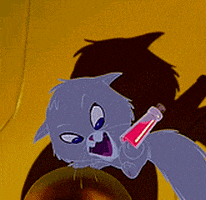 the emperors new groove kitty GIF