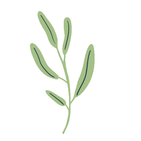 Rupertus giphyupload organic bio urlaub Sticker