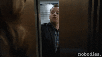 ignore tv land GIF by nobodies.