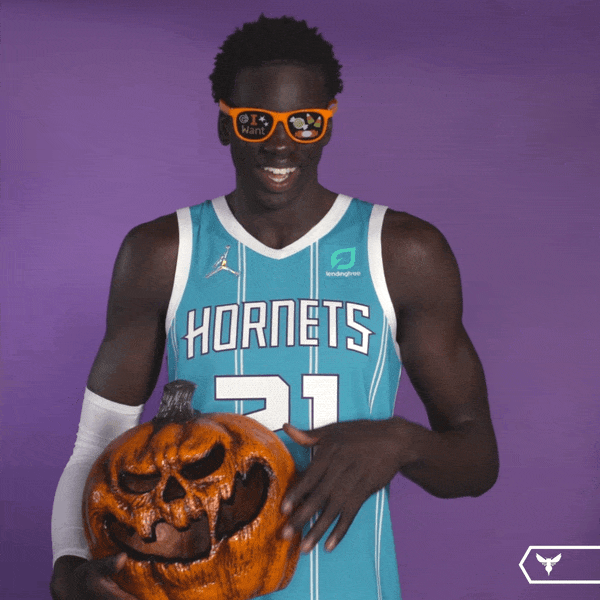 Sport Basketball GIF by Charlotte Hornets