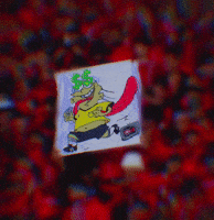 Algeria Crb GIF