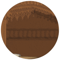 Rules Contractors Sticker by Devir Americas