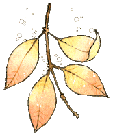 Fall Leaves Sticker by Linouspots