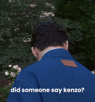 Seventeen Vernon GIF