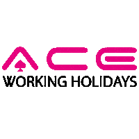 Summer Wow Sticker by AceWorkingHolidays