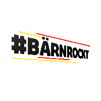 Sport Hockey Sticker by SC Bern
