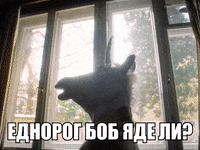 SofiaInternationalFilmFestival movie home cinema horse GIF