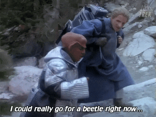 Star Trek GIF by The Joy of Trek
