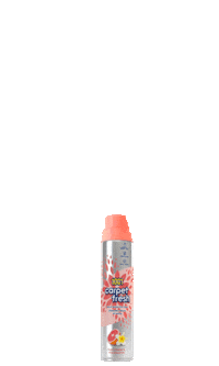 1001CarpetCare flowers fresh clean cleaning Sticker