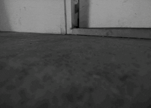 Film Candle GIF