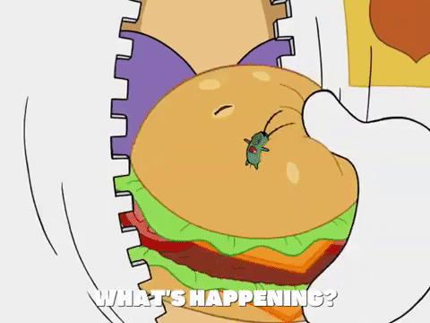 season 7 episode 3 GIF by SpongeBob SquarePants