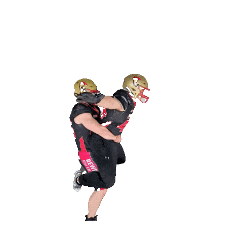 Neu Ulm Football Sticker by neu-ulm-spartans