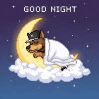 Good Night Dog GIF by SkyDog Social