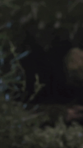 Halloween Dinosaur GIF by Schleich Inc.