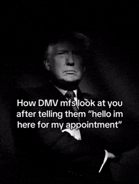 Donald Trump Instagram GIF