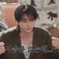 Skz GIF