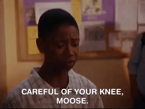 nicksplat nickelodeon GIF