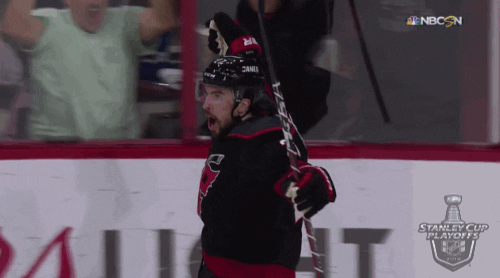celebrate ice hockey GIF by NHL