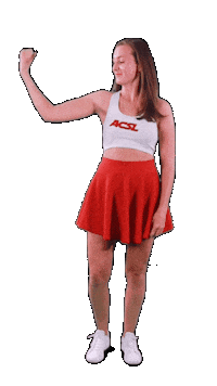 Football Basketball Sticker by ACSL - Austrian College Sports League