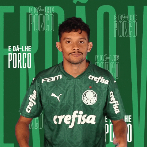 Happy Feliz GIF by SE Palmeiras
