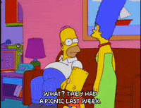 homer simpson what GIF