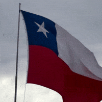 Viva Chile GIF