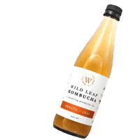 happy kombucha Sticker by Wild Leaf Brew