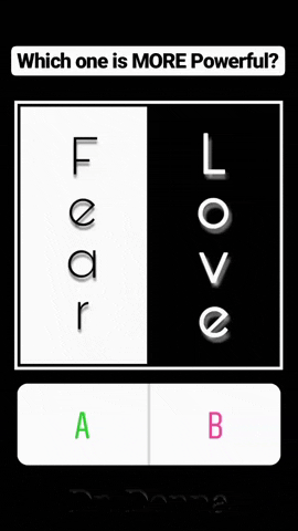 donnathomas-rodgers giphygifmaker love instagram a GIF