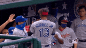 Regular Season Sport GIF by MLB