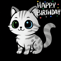 Happy Cat GIF