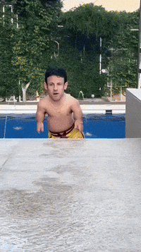 Macron GIF by systaime