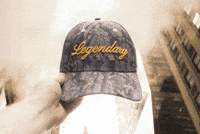 Head Hat GIF by VeeFriends